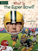 What_is_the_Super_Bowl_